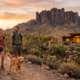 Pet Friendly Rentals Near Phoenix Hiking: Best Stay Tips Apricate Rentals | Best Snowbird Rentals in Scottsdale for Extended Desert Stays